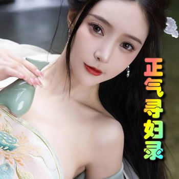 正气寻妇录