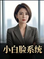 小白脸系统